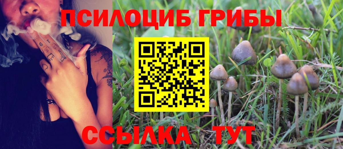 Энгельс  сколько стоит  Вход с VPN  Псилоцибиновые грибы Psilocybe 