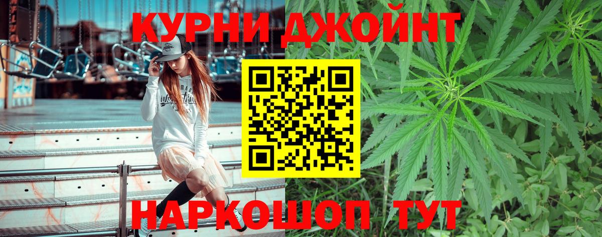 Конопля конопля Энгельс